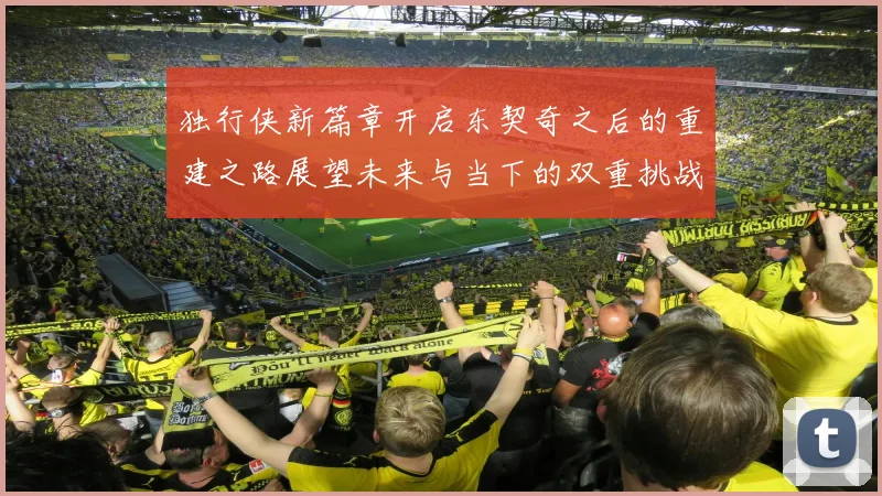 独行侠新篇章开启东契奇之后的重建之路展望未来与当下的双重挑战