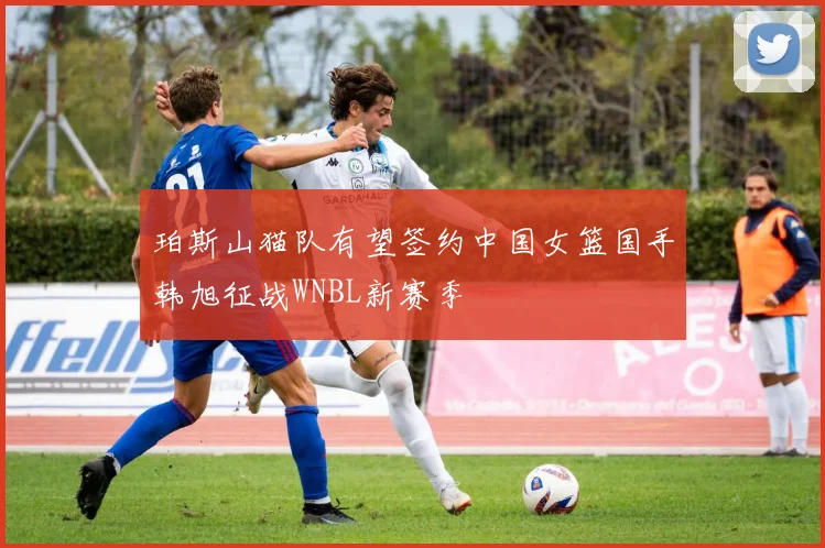 珀斯山猫队有望签约中国女篮国手韩旭征战WNBL新赛季