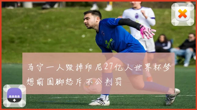 马宁一人毁掉印尼27亿人世界杯梦想前国脚怒斥不公判罚