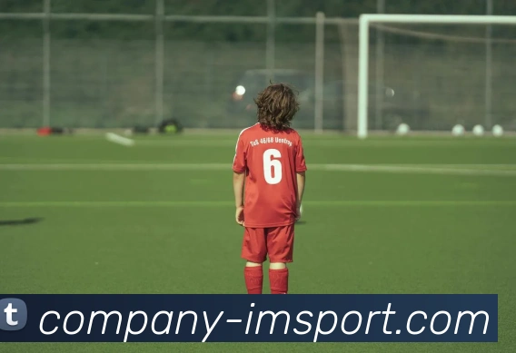 IM体育平台生态图